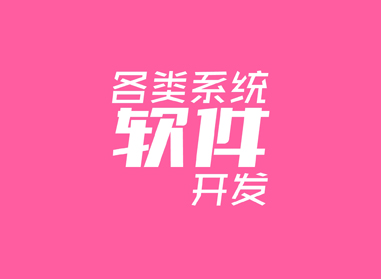 進(jìn)入了解各類(lèi)系統(tǒng)、軟件開(kāi)發(fā)